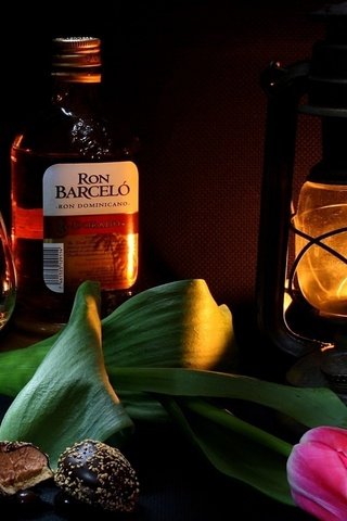 Обои фон, алкоголь, цветок, натюрморт, лампа, ром, конфеты, крепкий, бокал, фонарь, тюльпан, бутылка, background, alcohol, flower, still life, lamp, rum, candy, strong, glass, lantern, tulip, bottle разрешение 1920x1200 Загрузить