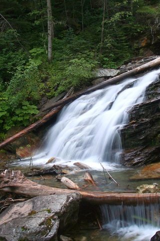 Обои деревья, природа, камни, лес, кусты, водопад, обломки, речка, trees, nature, stones, forest, the bushes, waterfall, the wreckage, river разрешение 2560x1600 Загрузить