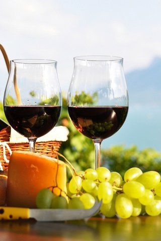 Обои горы, виноград, лето, сыр, вино, бутылка, бокалы, бокал вина, mountains, grapes, summer, cheese, wine, bottle, glasses, a glass of wine разрешение 1920x1152 Загрузить