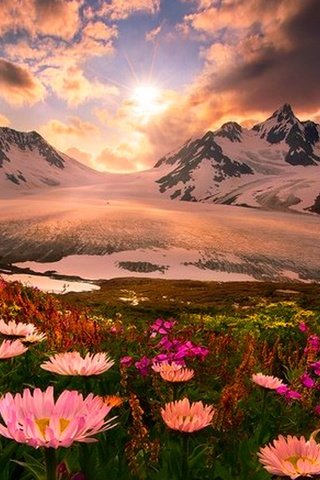 Обои небо, горы, снег, полевые цветы, the sky, mountains, snow, wildflowers разрешение 1920x1200 Загрузить