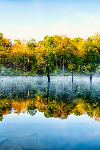 Обои деревья, озеро, природа, отражение, туман, trees, lake, nature, reflection, fog разрешение 2048x1365 Загрузить