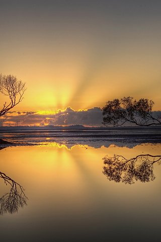 Обои деревья, вечер, озеро, природа, закат, отражение, trees, the evening, lake, nature, sunset, reflection разрешение 5592x3700 Загрузить