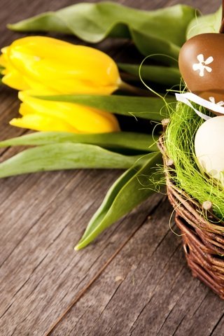 Обои цветы, зеленые пасхальные, довольная, весна, тюльпаны, пасха, яйца, тульпаны,  цветы, глазунья, декорация, весенние, flowers, happy, spring, tulips, easter, eggs, decoration разрешение 2880x1920 Загрузить