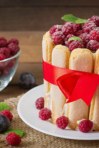 Обои малина, ягоды, торт, десерт, бант, сливы, савоярди, raspberry, berries, cake, dessert, bow, plum, savoiardi разрешение 3000x2000 Загрузить