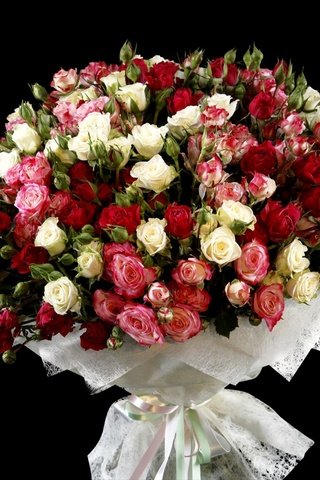 Обои цветы, розы, красота, черный фон, букет, flowers, roses, beauty, black background, bouquet разрешение 2560x1707 Загрузить