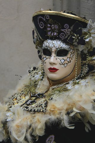 Обои маска, венеция, перья, костюм, воротник, карнавал, mask, venice, feathers, costume, collar, carnival разрешение 2400x1632 Загрузить