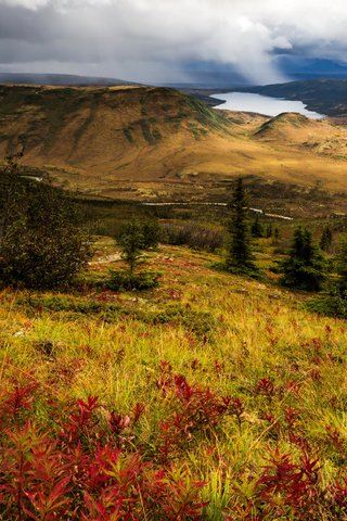 Обои озеро, холмы, панорама, сша, аляска, национальный парк денали, lake, hills, panorama, usa, alaska, denali national park разрешение 3750x2491 Загрузить