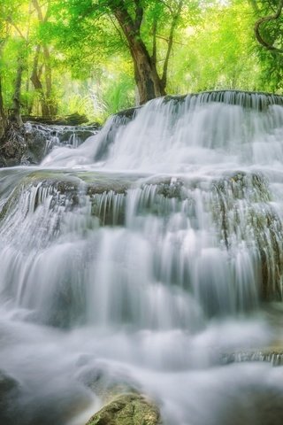 Обои деревья, вода, лес, водопад, поток, trees, water, forest, waterfall, stream разрешение 2048x1327 Загрузить