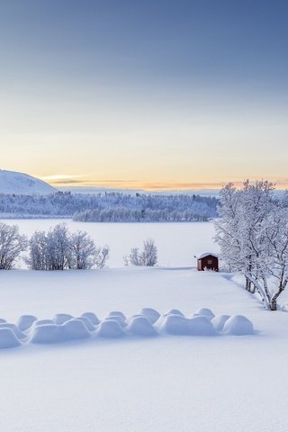 Обои деревья, норвегии, lyngen alps, горы, балсфьорд, снег, тромс, зима, панорама, сугробы, норвегия, избушка, trees, mountains, balsfjord, snow, troms, winter, panorama, the snow, norway, hut разрешение 2048x1088 Загрузить