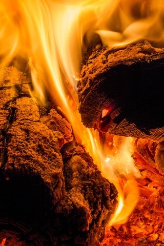 Обои пламя, огонь, жар, дрова, flame, fire, heat, wood разрешение 2700x1800 Загрузить