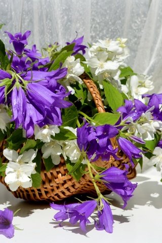 Обои букет, корзина, колокольчики, жасмин, bouquet, basket, bells, jasmine разрешение 2400x1565 Загрузить