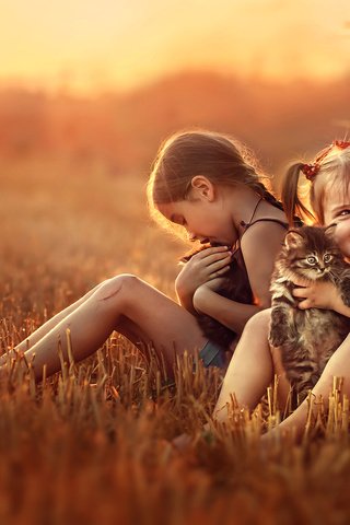 Обои закат, настроение, поле, дети, девочки, котята, стог, сидят, sunset, mood, field, children, girls, kittens, stack, sitting разрешение 2000x1421 Загрузить