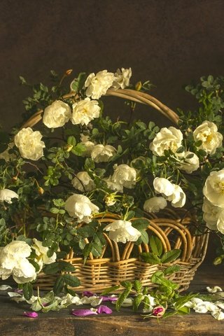 Обои розы, букет, корзина, композиция, roses, bouquet, basket, composition разрешение 2100x1399 Загрузить