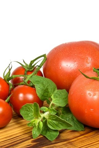 Обои помидоры, томаты, базилик, tomatoes, basil разрешение 3600x2200 Загрузить