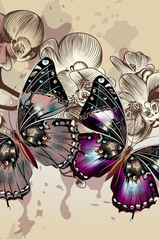Обои цветы, цвета, фон, вектор, крылья, бабочки, flowers, color, background, vector, wings, butterfly разрешение 4992x3793 Загрузить