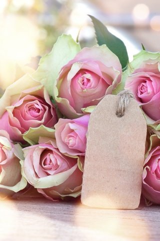 Обои бутоны, розы, романтик,  цветы, роз, пинк, valentine`s day, buds, roses, romantic, flowers, pink, valentine's day разрешение 2953x2953 Загрузить