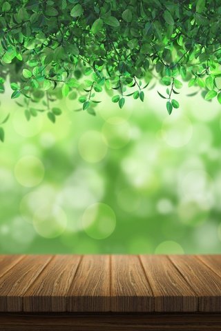Обои свет, листья, листва, доски, зеленый фон, боке, light, leaves, foliage, board, green background, bokeh разрешение 5777x5716 Загрузить
