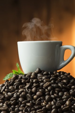 Обои мята, зерна, кофе, чашка, кофейные зерна, mint, grain, coffee, cup, coffee beans разрешение 6672x4912 Загрузить