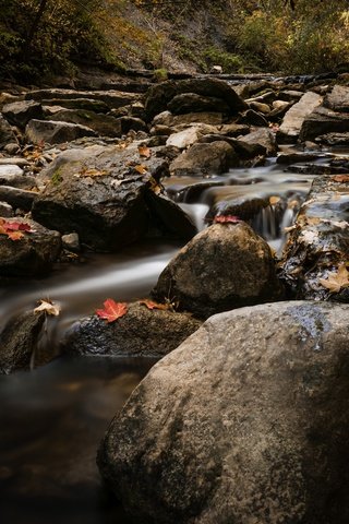 Обои вода, природа, камни, листья, ручей, осень, water, nature, stones, leaves, stream, autumn разрешение 2048x1367 Загрузить