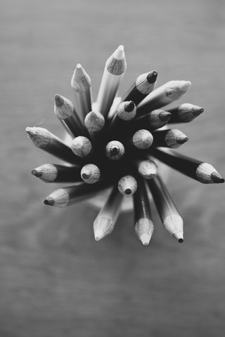 Обои чёрно-белое, карандаши, много, black and white, pencils, a lot разрешение 2048x1356 Загрузить