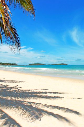 Обои море, пляж, пальмы, отдых, тропики, sea, beach, palm trees, stay, tropics разрешение 3059x2035 Загрузить