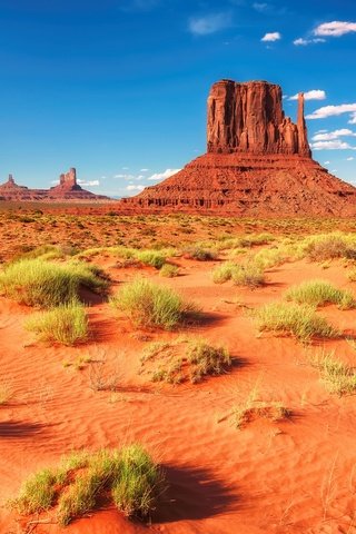 Обои трава, горы, скалы, пустыня, сша, аризона, долина монументов, grass, mountains, rocks, desert, usa, az, monument valley разрешение 1920x1282 Загрузить