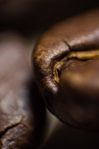 Обои кофе, кофейные зерна, крупным планом, coffee, coffee beans, closeup разрешение 4608x3072 Загрузить