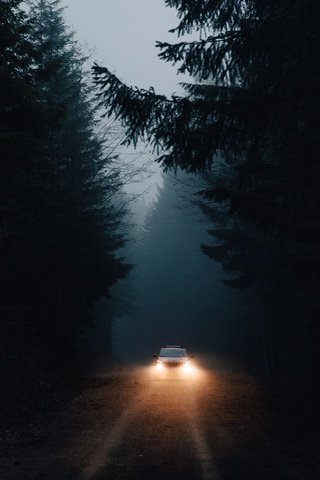 Обои свет, дорога, лес, машина, темнота, фары, light, road, forest, machine, darkness, lights разрешение 2048x1365 Загрузить