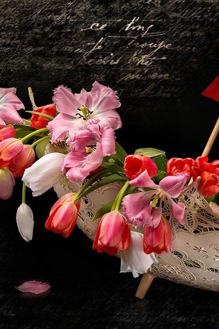Обои цветы, фон, лепестки, тюльпаны, зонтик, flowers, background, petals, tulips, umbrella разрешение 1920x1080 Загрузить