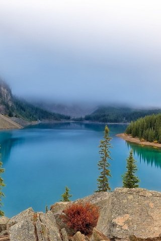 Обои деревья, канада, вода, национальный парк банф, озеро, горы, камни, лес, пейзаж, туман, trees, canada, water, banff national park, lake, mountains, stones, forest, landscape, fog разрешение 2048x1367 Загрузить