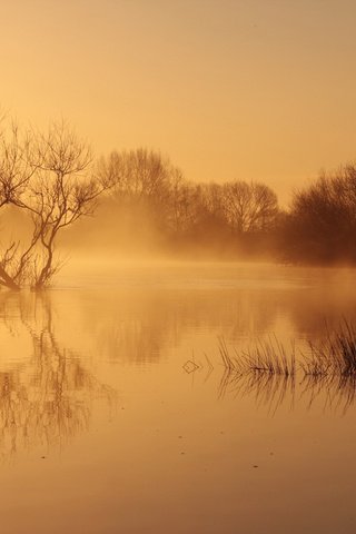 Обои река, природа, пейзаж, утро, туман, рассвет, river, nature, landscape, morning, fog, dawn разрешение 1920x1200 Загрузить