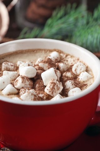Обои кофе, кружка, шоколад, зефир, какао, горячий шоколад, маршмеллоу, coffee, mug, chocolate, marshmallows, cocoa, hot chocolate разрешение 2880x1800 Загрузить