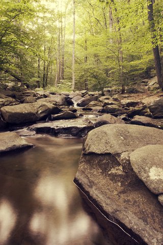 Обои река, природа, камни, лес, river, nature, stones, forest разрешение 2880x1800 Загрузить