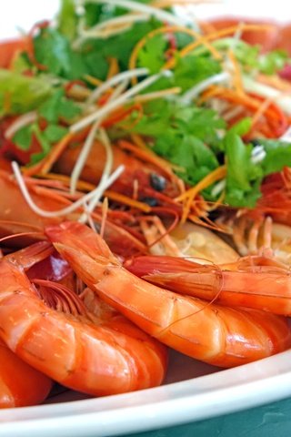 Обои зелень, морепродукты, креветки, greens, seafood, shrimp разрешение 4864x3648 Загрузить