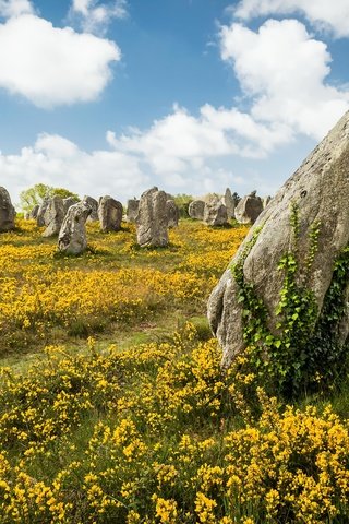 Обои небо, цветы, облака, камни, лето, the sky, flowers, clouds, stones, summer разрешение 5000x3571 Загрузить