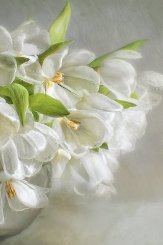 Обои цветы, лепестки, букет, белые, ваза, живопись, flowers, petals, bouquet, white, vase, painting разрешение 2048x1532 Загрузить
