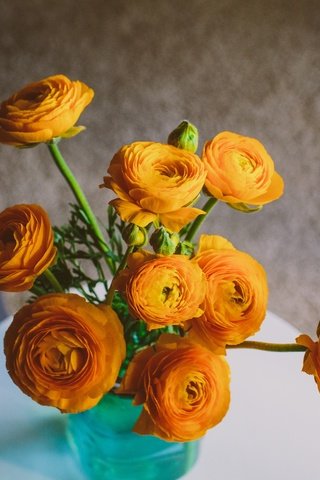 Обои цветы, букет, ранункулюс, лютик, flowers, bouquet, ranunculus, buttercup разрешение 2048x1365 Загрузить