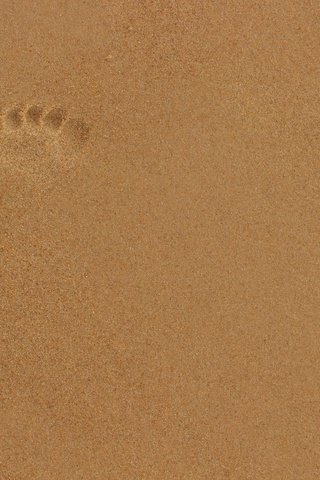 Обои песок, пляж, след, отпечаток, sand, beach, trail, imprint разрешение 2048x1365 Загрузить