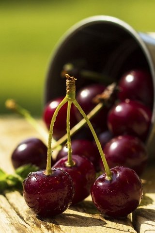 Обои макро, черешня, ягоды, вишня, сладкая, сочная, ведерко, ведерко., macro, cherry, berries, sweet, juicy, bucket разрешение 2048x1331 Загрузить
