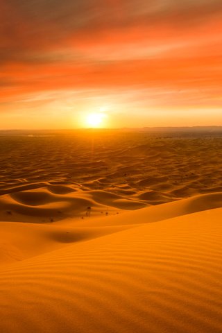 Обои солнце, закат, песок, горизонт, пустыня, дюны, сахара, the sun, sunset, sand, horizon, desert, dunes, sugar разрешение 5232x3057 Загрузить