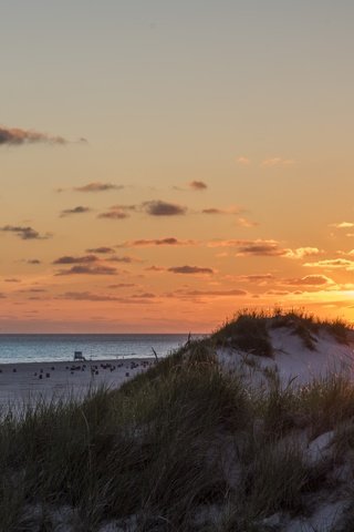 Обои небо, трава, облака, солнце, море, пляж, рассвет, лето, the sky, grass, clouds, the sun, sea, beach, dawn, summer разрешение 6016x3384 Загрузить