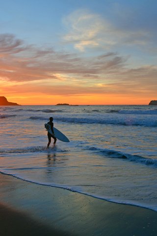 Обои закат, море, пляж, собака, сёрфер, sunset, sea, beach, dog, surfer разрешение 5925x3870 Загрузить