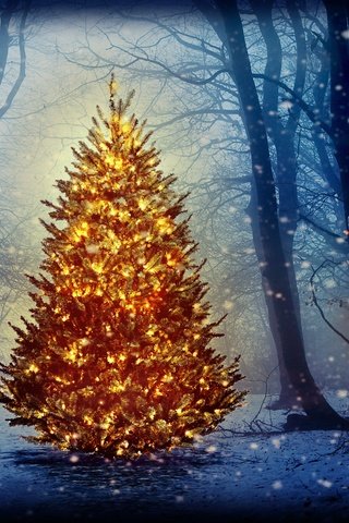 Обои новый год, елка, лес, олени, рождество, new year, tree, forest, deer, christmas разрешение 2880x1800 Загрузить