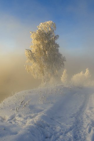 Обои дорога, следы, снег, sergeo, природа, дерево, зима, пейзаж, туман, иней, road, traces, snow, nature, tree, winter, landscape, fog, frost разрешение 1920x1200 Загрузить