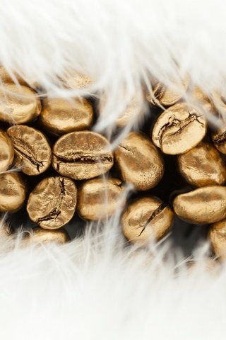 Обои текстура, кофе, перья, золото, кофейные зерна, texture, coffee, feathers, gold, coffee beans разрешение 4000x2637 Загрузить