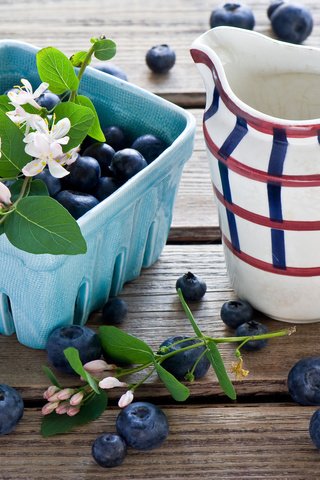 Обои ягоды, черника, кувшин, голубика, кувшинчик, berries, blueberries, pitcher, jug разрешение 2000x1314 Загрузить