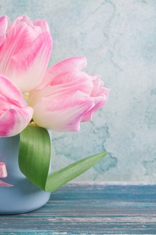 Обои цветы, кружка, тюльпаны, розовые, irina bort, flowers, mug, tulips, pink разрешение 4256x2832 Загрузить