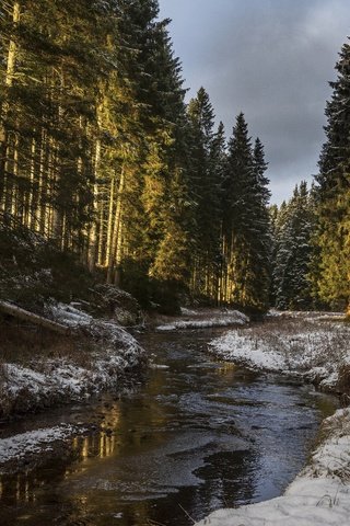 Обои деревья, река, снег, природа, лес, солнечный свет, trees, river, snow, nature, forest, sunlight разрешение 4500x3004 Загрузить