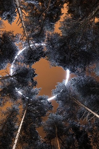 Обои небо, деревья, круг, the sky, trees, round разрешение 2047x1300 Загрузить