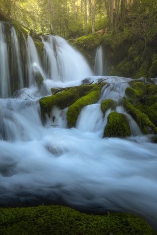 Обои река, водопады, камни, каскад, зелень, лес, водопад, поток, мох, корни, river, waterfalls, stones, cascade, greens, forest, waterfall, stream, moss, roots разрешение 2048x1365 Загрузить